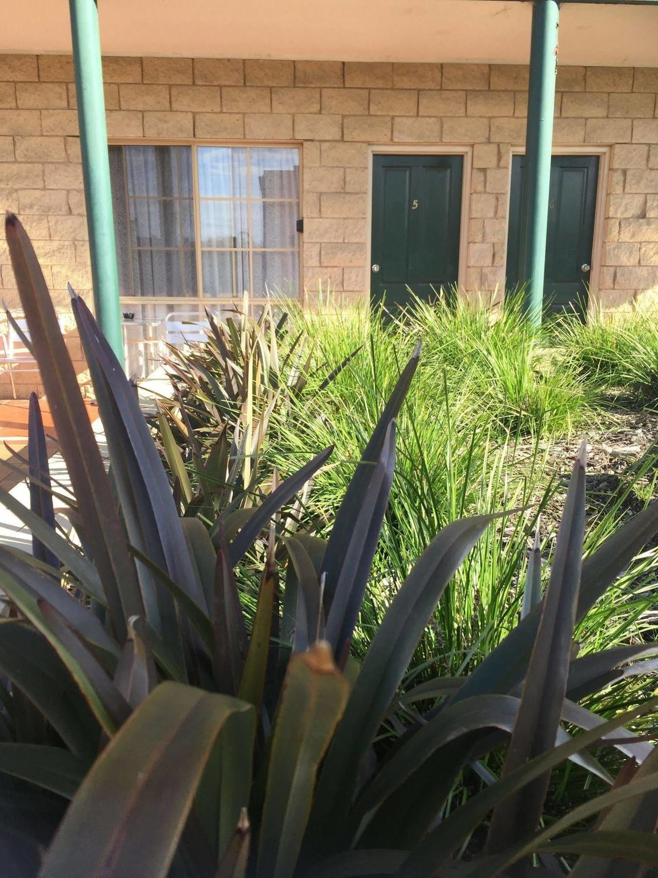 Motel Paradise Palms Mulwala